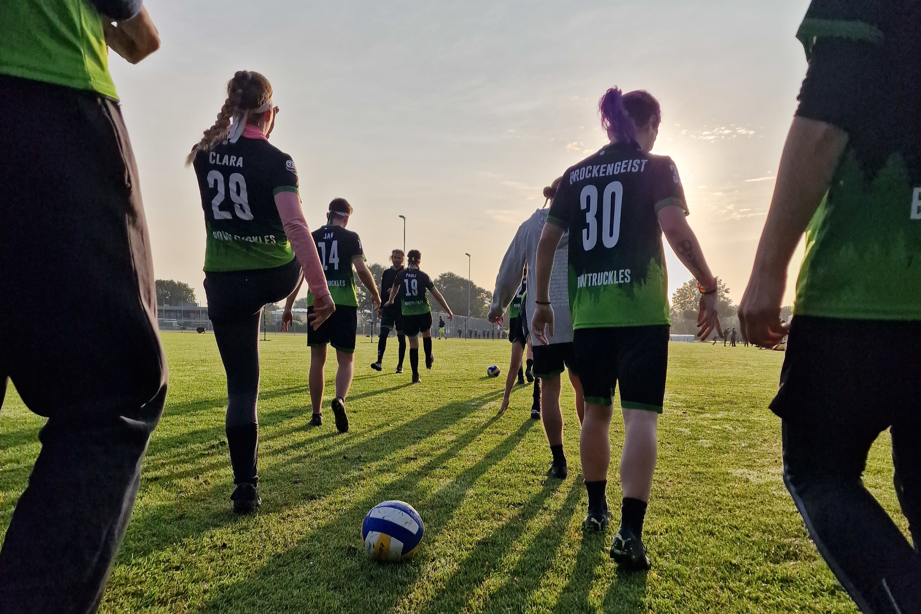 Die Black Forest Bowtruckles Laufen im Training der Sonne entgegen